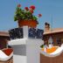 Suites Santo Domingo in San Miguel de Allende, rooftop terrace with potted flowers and tiled planters