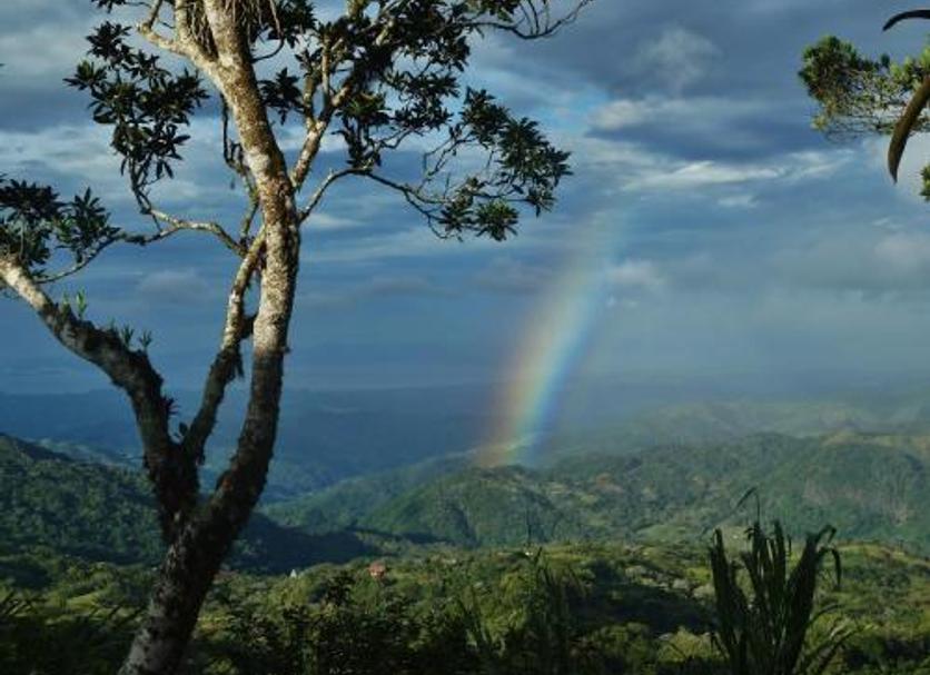 Outdoors view Photo