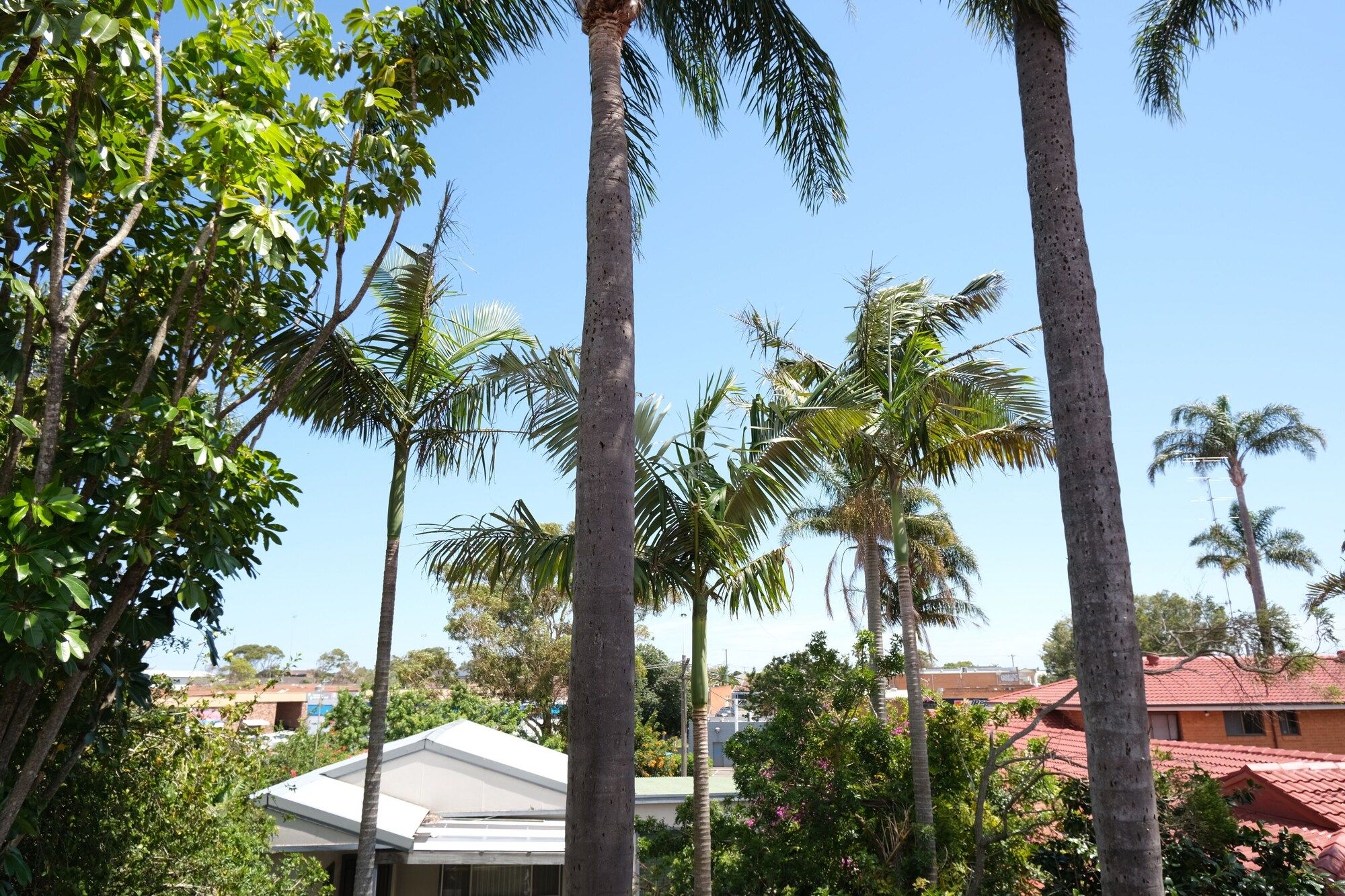 Outdoors view
