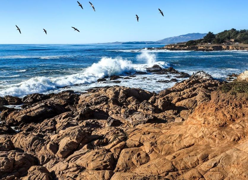 Ocean waves crashing against rocky shore at Sand Pebbles Inn, Cambria, with seabirds overhead.