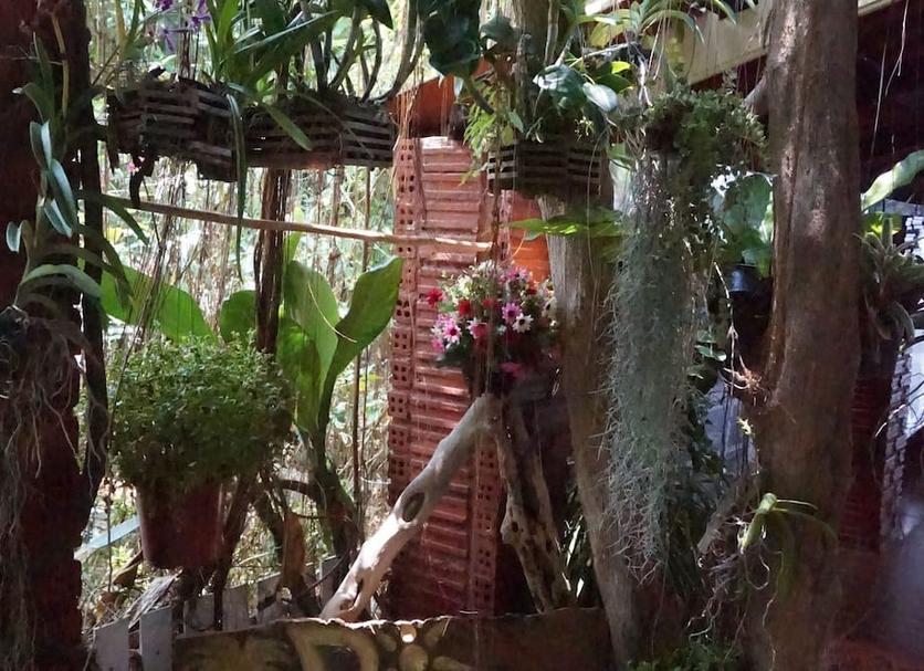 Other Photo