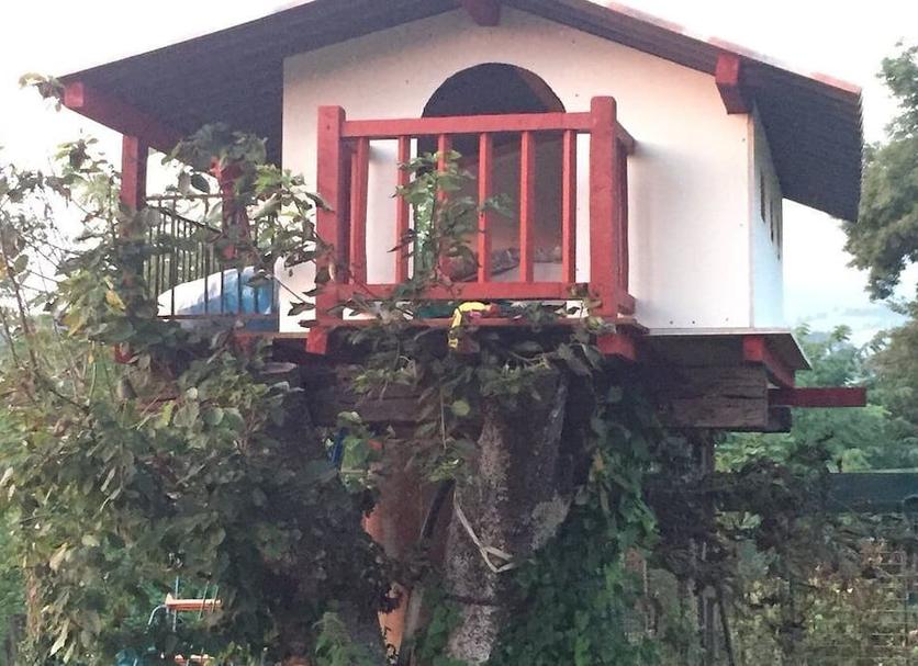 Outdoors view Photo