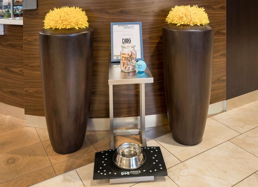 Room amenity Photo