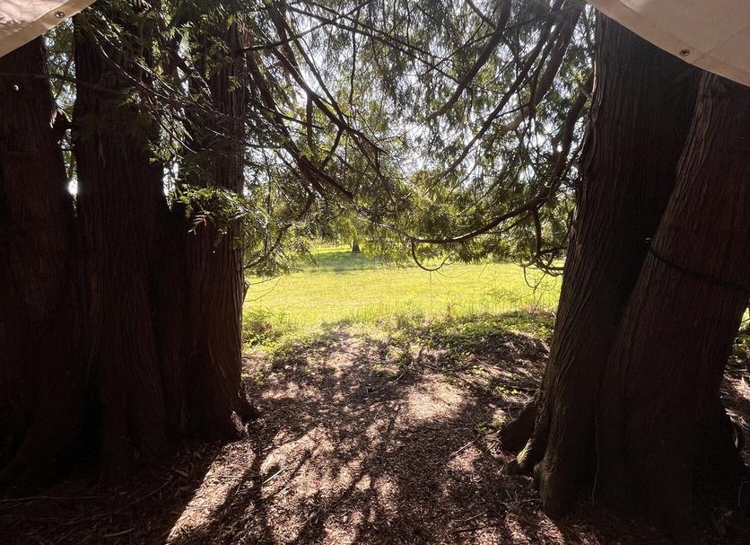 Outdoors view Photo