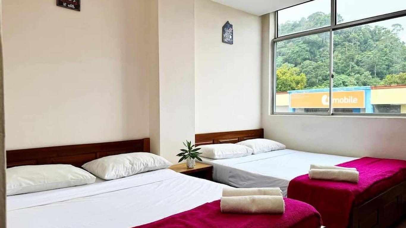 Town Inn Hotel - Rainforest