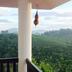 Outdoors view