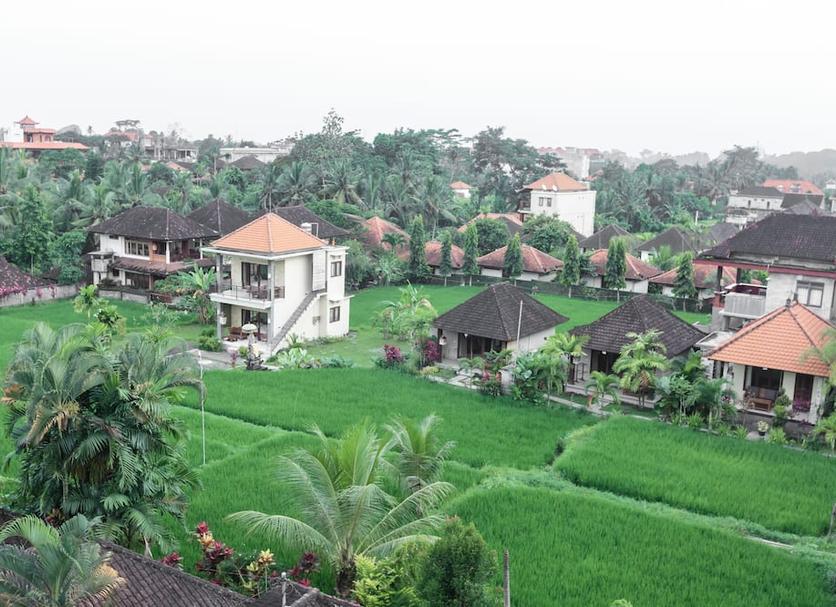 Outdoors view Photo
