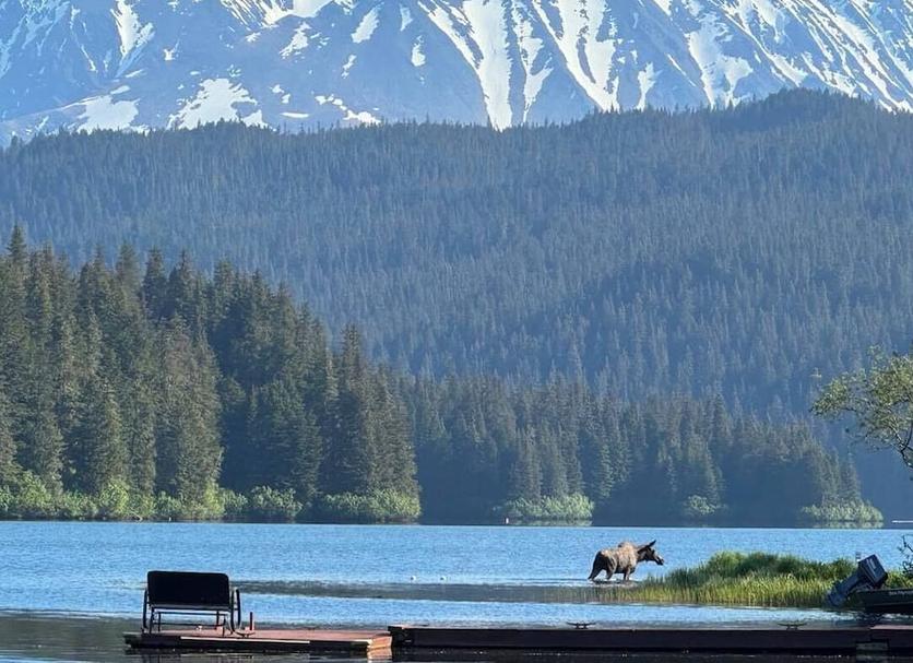 Outdoors view Photo