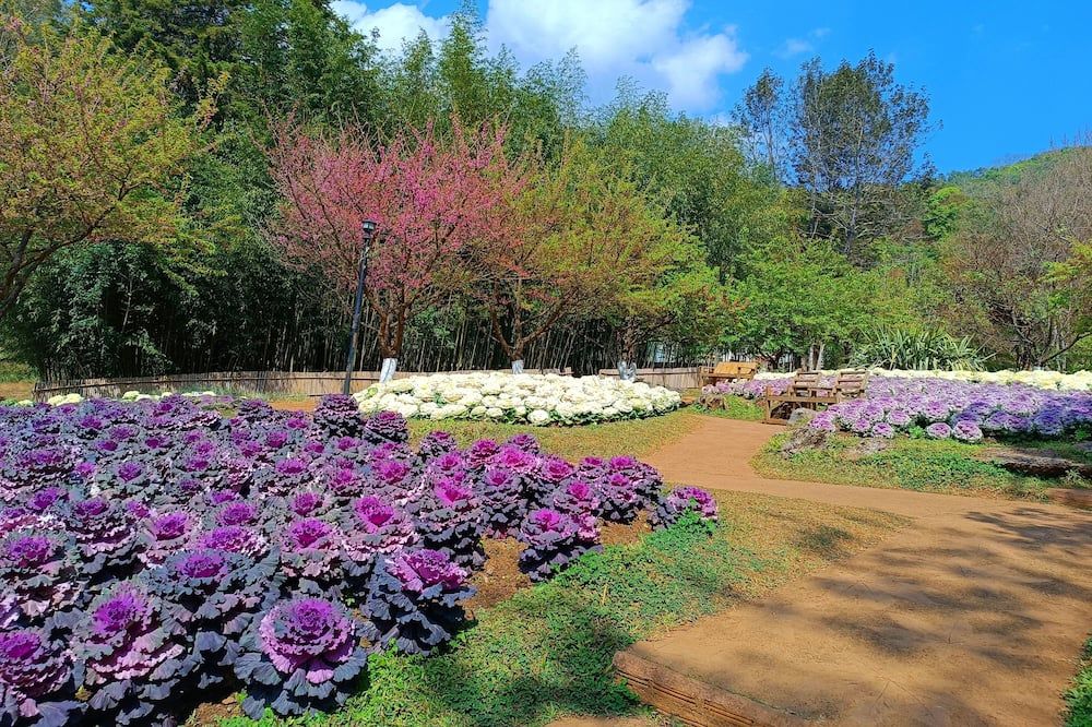 Outdoors view