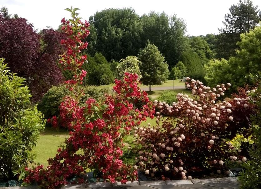 Outdoors view Photo