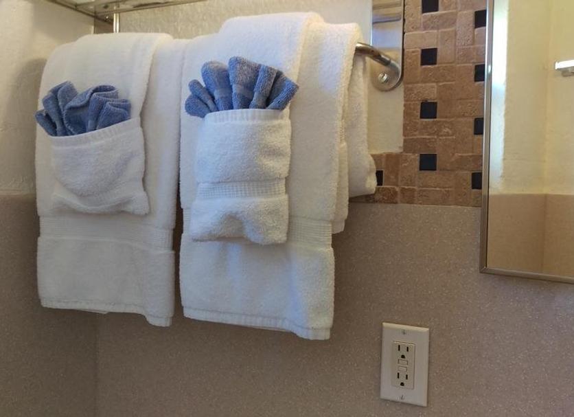 Room amenity Photo