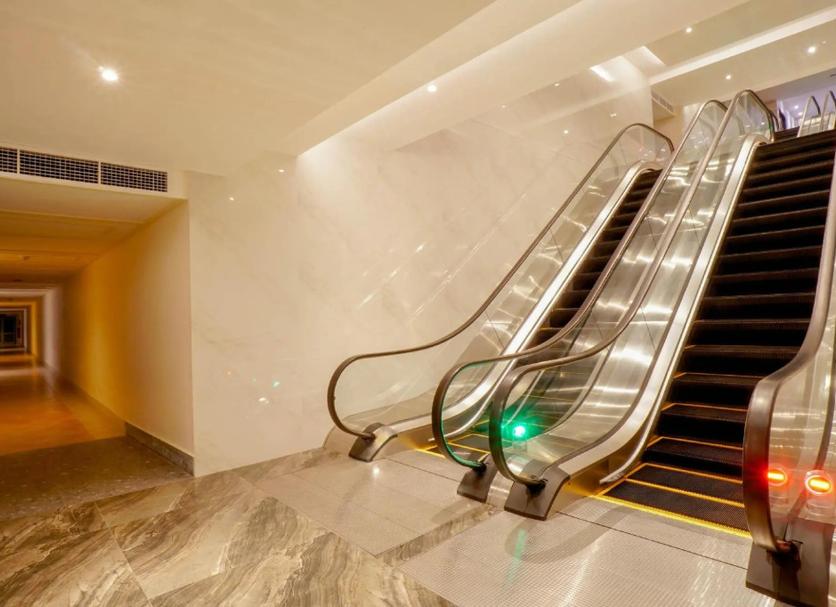 Stairs Photo