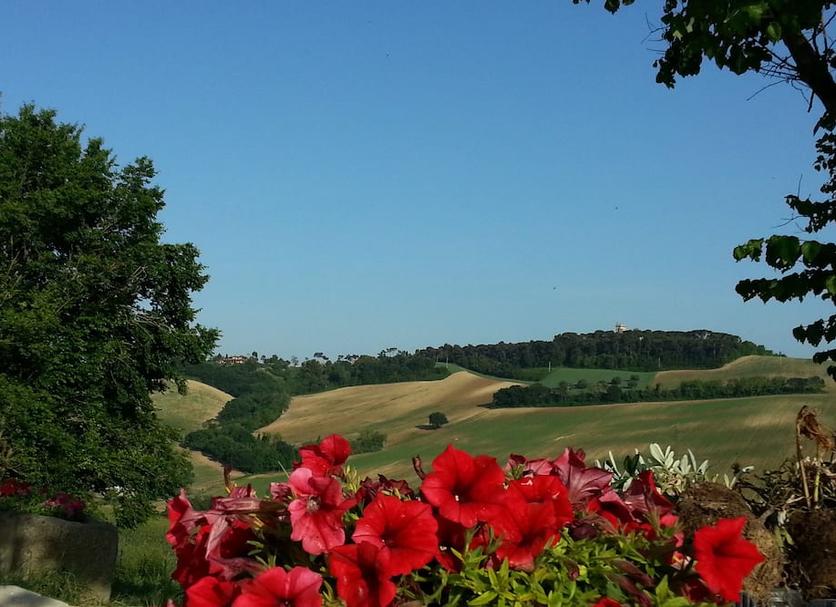 Outdoors view Photo