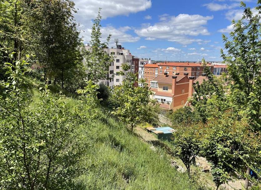 Outdoors view Photo