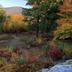 Outdoors view