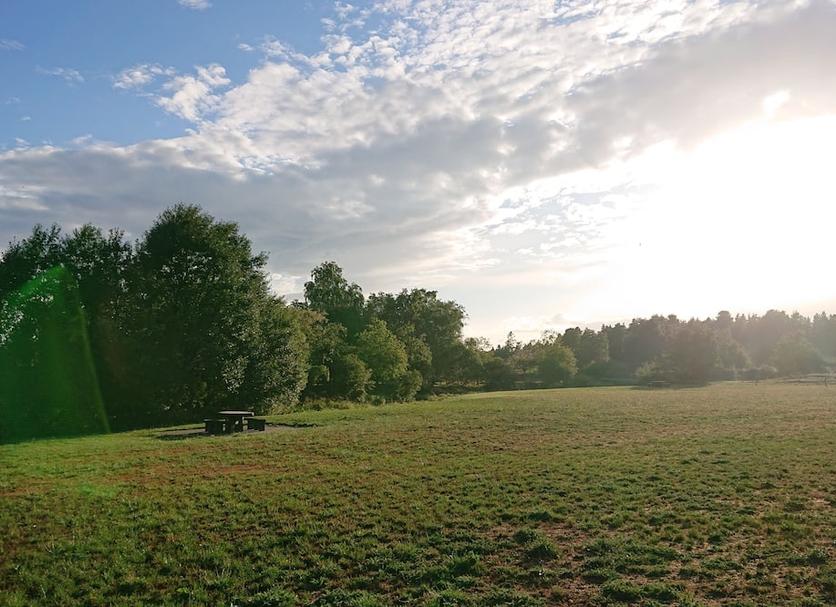 Outdoors view Photo