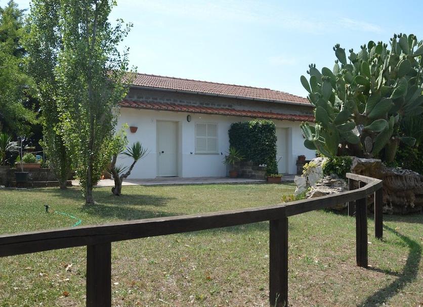 Other Photo