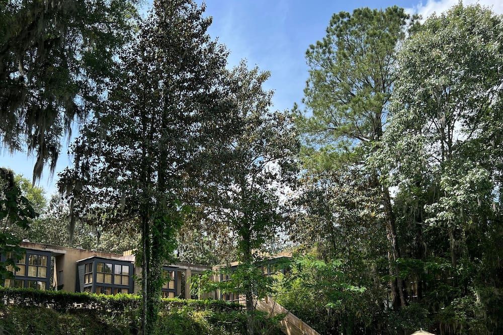 Outdoors view