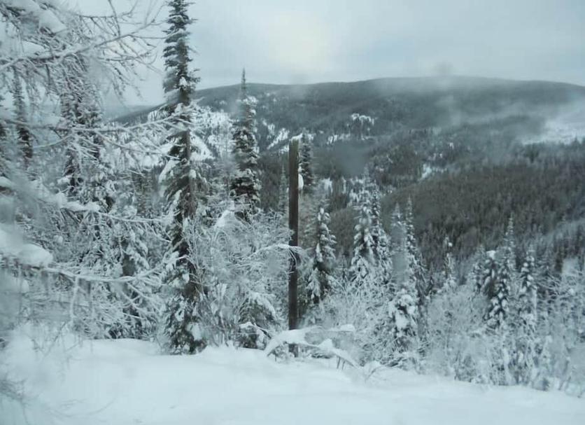 Outdoors view Photo