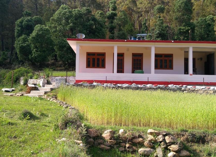 Other Photo