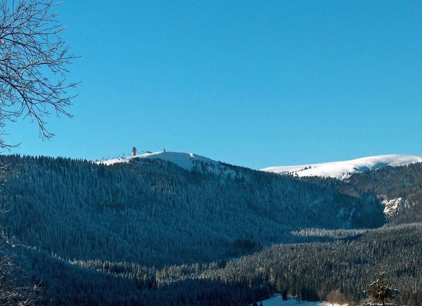 Outdoors view Photo