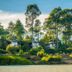 The River Resort in Champasak with riverside villas among trees and mountain views