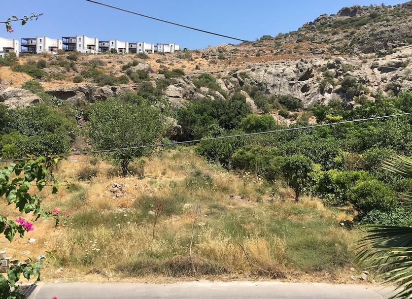 Outdoors view Photo