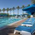The Westin Kierland Resort & Spa in Scottsdale with a palm-lined outdoor pool and blue lounge chairs
