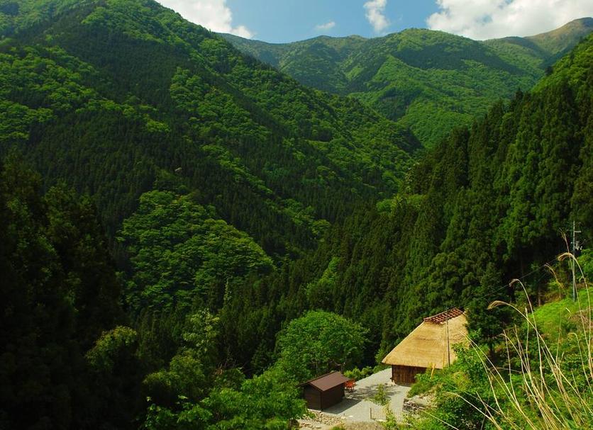 Outdoors view Photo