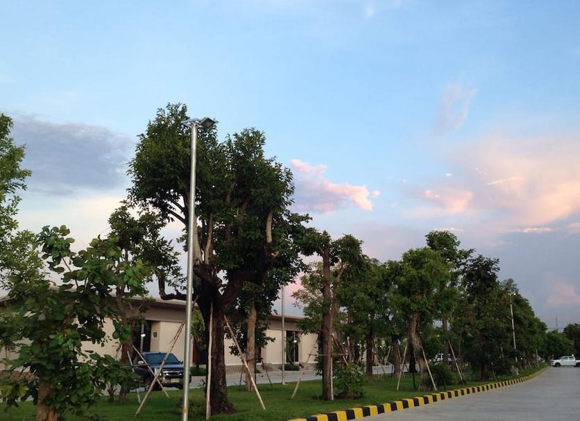 Outdoors view Photo