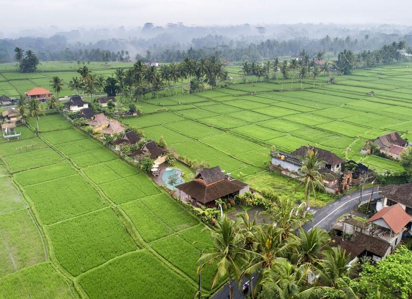 Outdoors view Photo