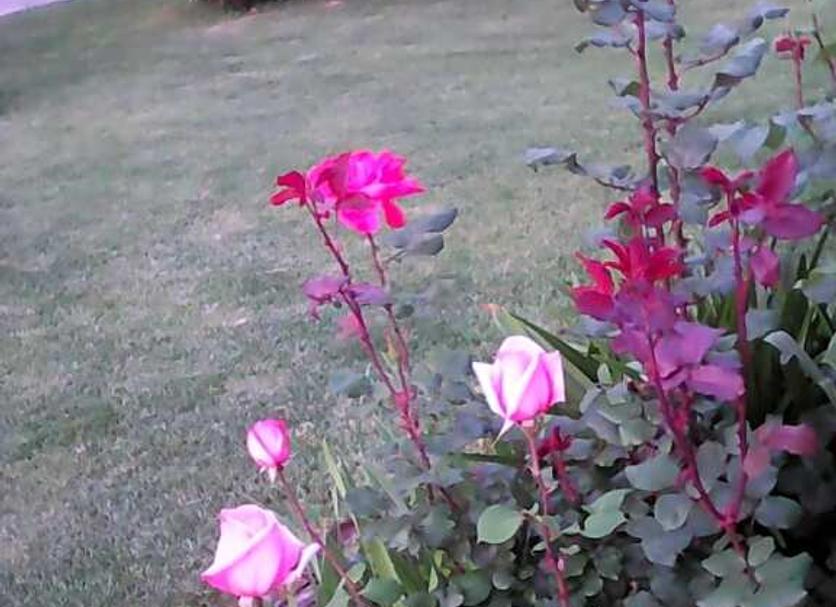 Outdoors view Photo