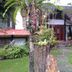 Outdoors view