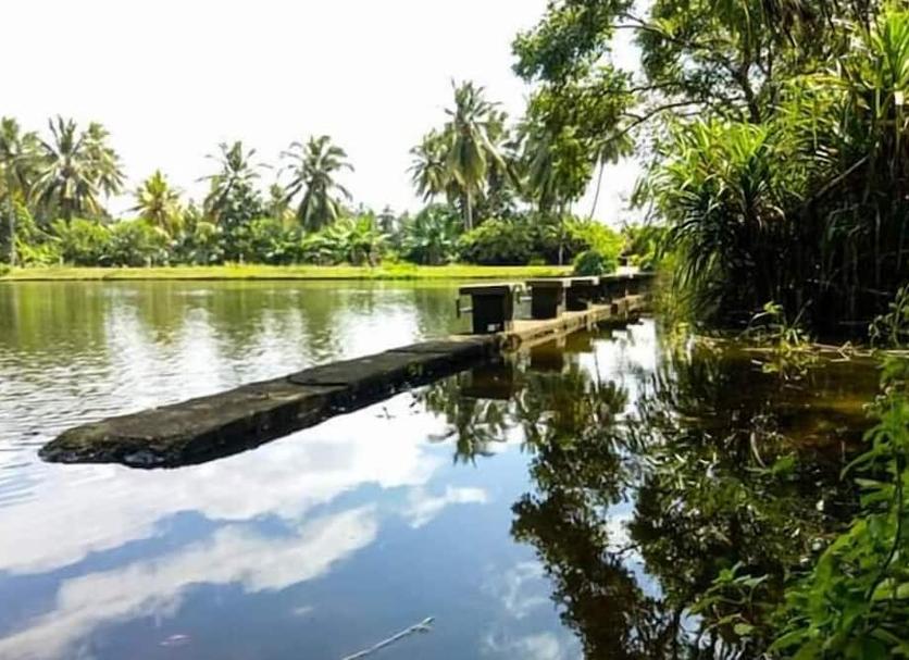 Outdoors view Photo