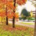Outdoors view
