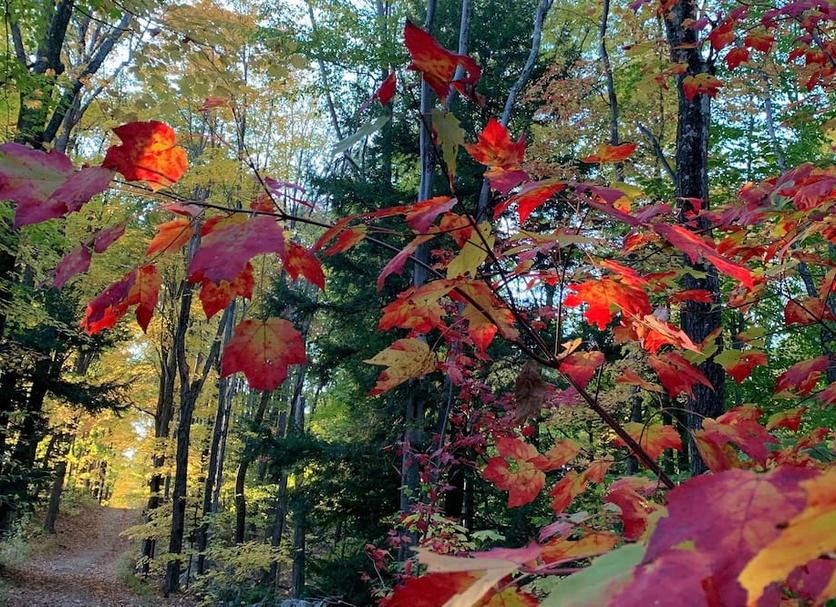Outdoors view Photo