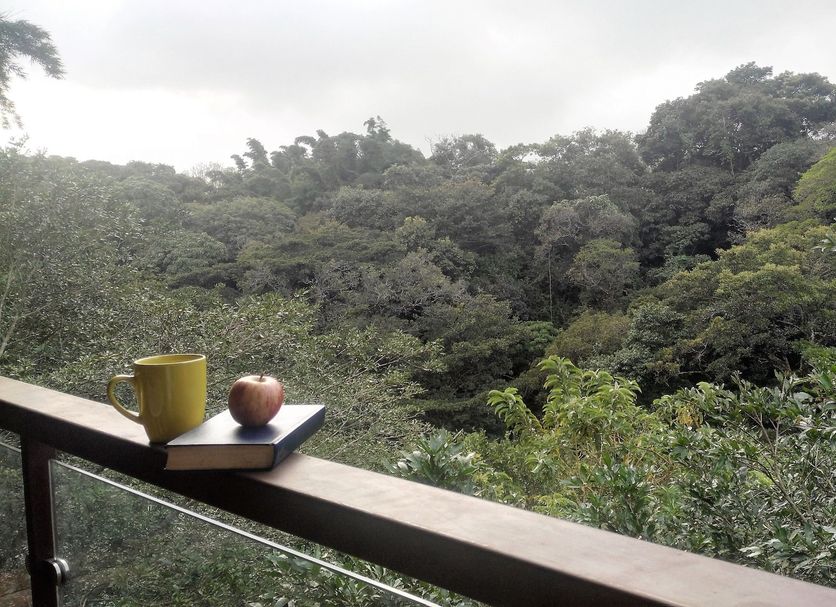 Hotel Pibi Boreal in Alajuela balcony with mug and bowl overlooking lush forest