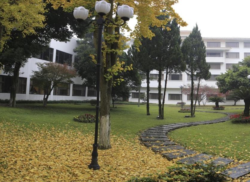 Outdoors view Photo