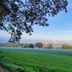 Hotel Maurer in Saarwellingen overlooks a misty countryside field with blue sky and trees
