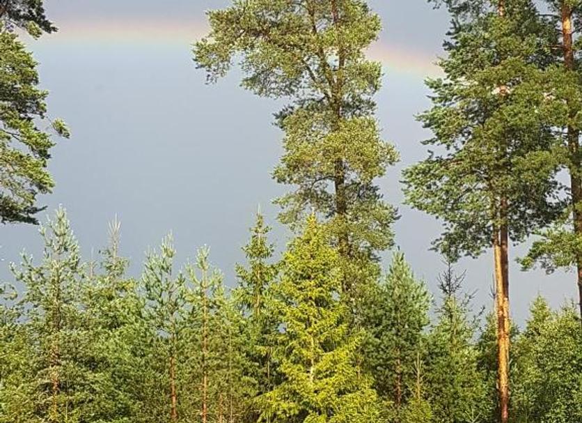 Outdoors view Photo