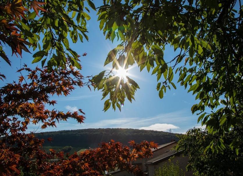 Outdoors view Photo