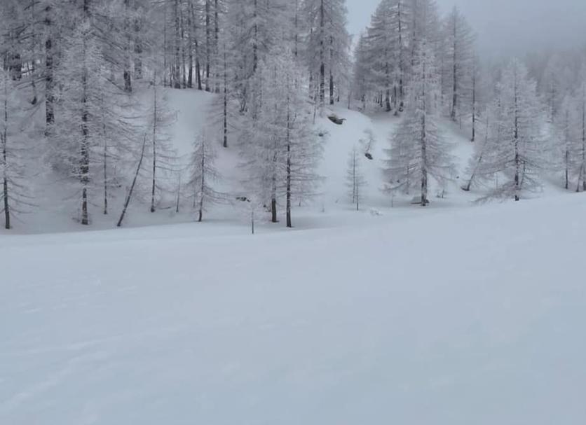 Other Photo