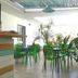 Camere D'Aragona in Otranto, bright breakfast room with green chairs, buffet, and indoor plants