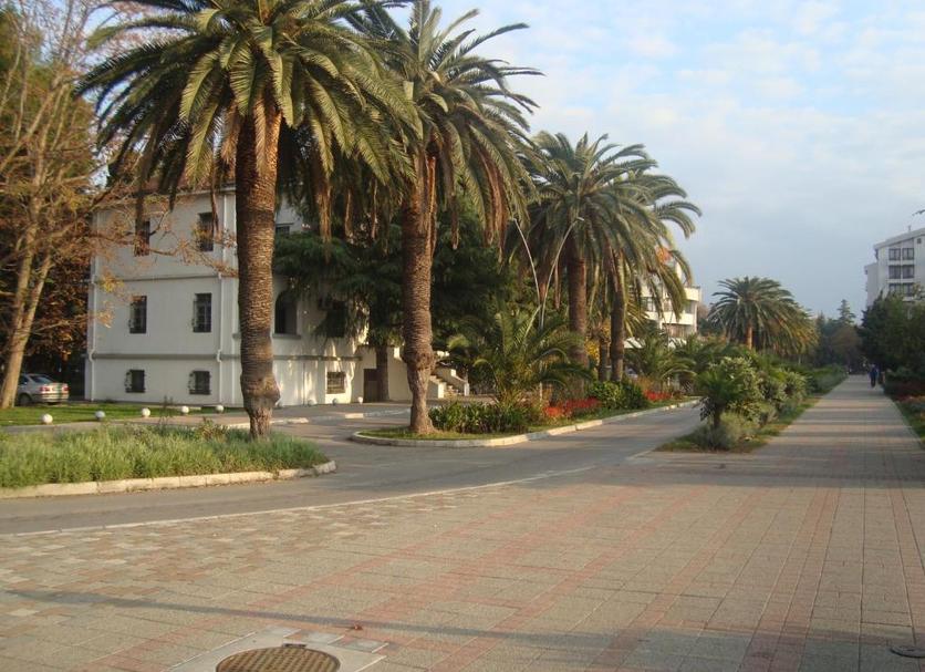Outdoors view Photo