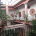 Hotel del Vasco in Zacatecas courtyard with plants, arched columns and a skylit roof