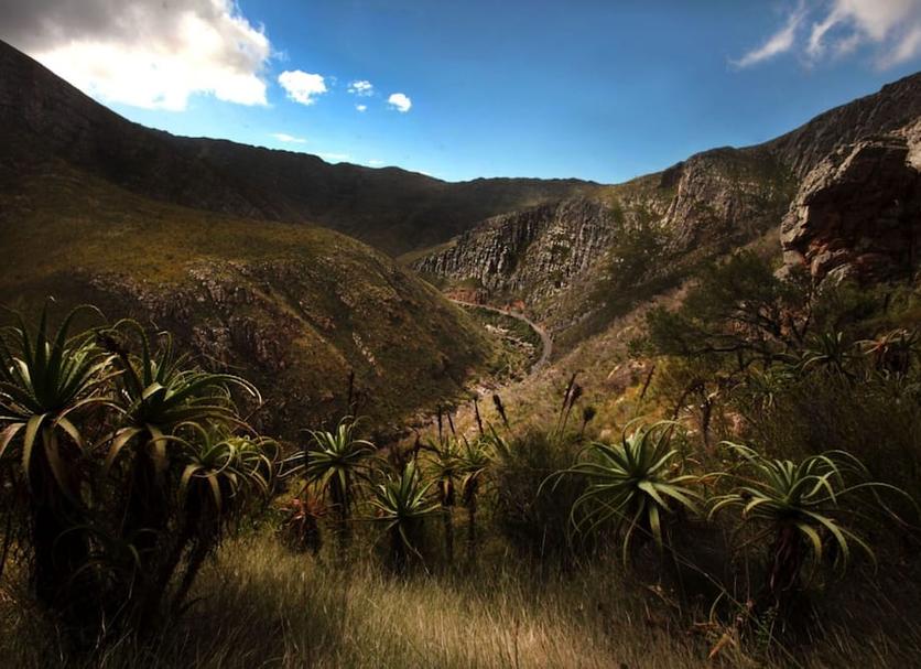 Outdoors view Photo