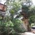 Outdoors view