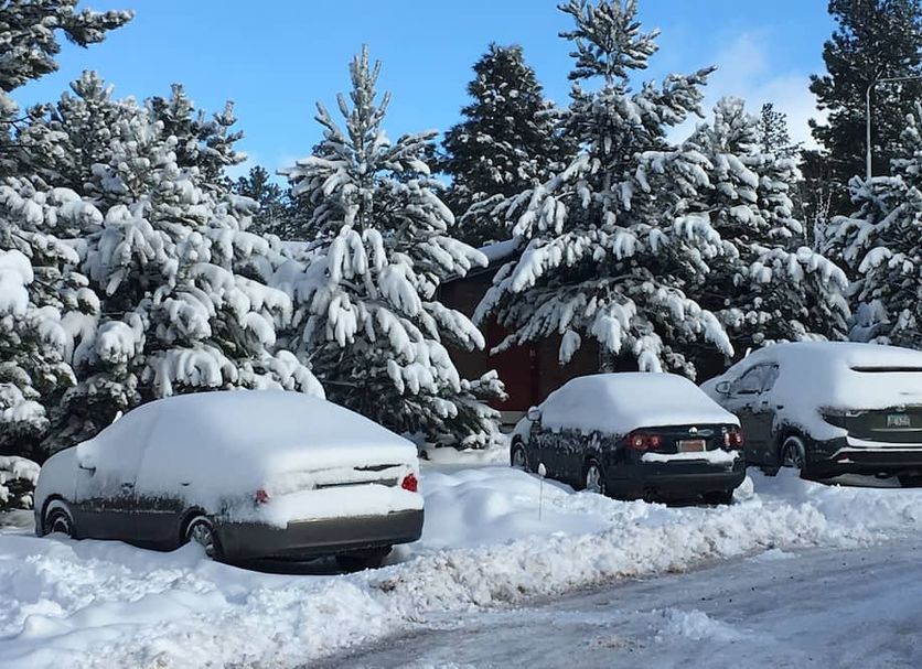 Snow-covered cars parked outside The Canyon Motel & RV Park in Williams beside snow-laden trees.