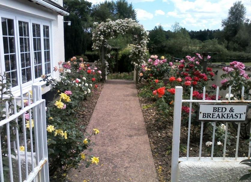 Outdoors view Photo