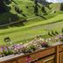 Outdoors view